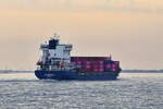SVENDBORG , Containerschiff , IMO 9454230 , Baujahr 2011 , 158 x 24 m , 1085 TEU , 18.04.2026 , Alte Liebe Cuxhaven