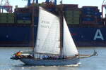 Segelschiff (ex-Haikutter) CARMELAN; Segelzeichen FN 66; Bj 1927; Bauwerft Hjorne & Jacobsen, Frederikshaven/D�nemark; MMSI 211204960; Eigner: OFFacom gGmbH, B�delsdorf. Auf der Elbe bei Hamburg-Waltershof. Aufnahmedatum: 18.08.2026.