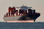 HOUSTON EXPRESS  Container Schiff , IMO 9667150 , Baujahr 2014 , 	368 x 51 m , 13806 TEU , 24.05.2026 , Cuxhaven , Alte Liebe