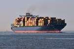 SCI DELHI , Containerschiff , IMO 9699127 , Baujahr 2014 , 300 x 48 m , 9034 TEU , 25.05.2026 , Cuxhaven-Alte Liebe