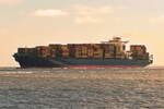 SCI DELHI , Containerschiff , IMO 9699127 , Baujahr 2014 , 300 x 48 m , 9034 TEU , 27.05.2026 , Cuxhaven-Alte Liebe