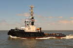 WUlf 9 , Schlepper , IMO 8714243 , Baujahr 1988 , 33 x 10 m , Cuxhaven - Alte Liebe , 27.05.2026
