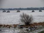 Die Armada der fnf Eisbrecher von links  WISENT -Geesthacht,  STIER -Geesthacht,  BFFEL - Lauenburg,  WIDDER - Geesthacht,  WOLF -Geesthacht auf der Elbe bei Schwinde; 09.01.2009  