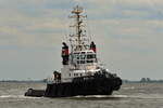 WULF 9 , Schlepper , IMO 8714243 , Baujahr 1988 , 33 x 10 m , 02.06.2026 , Cuxhaven-Alte Liebe