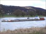 Das tschechische Frachtschiff ANDROMEDA (ex MUSKAU, Baujahr 1963, 7 x 8,20m) aus Decin, ( 09551068 ) die Elbe abwrts bei Dresden-Laubegast, 19.03.2009  