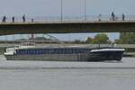 GMS Gottardo, ENI 02326319, gemeldet in Maasbracht, zu Berg auf der Maas in Maastricht.