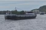 GMS PEROLI, ENI 02314434, gemeldet in Maasbracht, f�hrt aus dem Lanaye Kanal auf die Maas ein  in Richtung Maastricht.