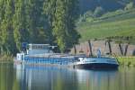 . Frachter Tarragona, ENI 06003477, L 85 m; B 9,08 m; T 1509; muß vor der Schleusseneinfahrt in Grevenmacher warten bis ein anderes Schiff die Schleuse verlassen hat.  17.09.2014  