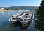 6 KFGS (vorne rechts die THURGAU PRESTIGE) vertaut am Peter-Altmeier-Ufer (Mosel) in Koblenz.