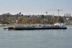 LRG Gas 74 , Gastanker auf dem Rhein bei Knigswinter - 07.04.2013