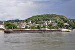 TMS  Stolt Lousanne  auf dem Rhein vor der Kulisse von Linz - 03.08.2013