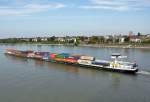 GMS-Container  Grindelwald  im Rhein bei Bonn - 28.09.2013