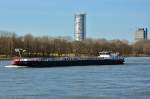 TMS  Otter  auf dem Rhein bei Bonn-Oberkassel - 12.02.2014