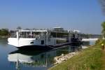 Flußkreuzer  Viking Tor , vor Anker in Breisach am Rhein, 2013 in der Neptunwerft Rostock gebaut, Heimathafen ist Basel, auffallend der speziell geformte Schiffsbug, neu auch ein diesel-elektrischer Antrieb mit ca.20% geringerem Energieverbrauch, März 2014