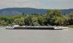 TMS  Alukard  im Rhein bei Königswinter - 31.05.2014