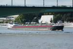 TMS  Scaletta  unter der Kennedybrücke in Bonn - 28.08.2014