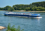 TMS  Mercury  auf dem Rhein bei Hersel - 31.08.2016