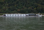 KFGS-Excellence queen  Flusskreuzfahrtschiff auf dem Rhein an der Lahnmündung bei Lahnstein. Länge: 110m, Breite:m 11,45 Passagiere: 143,  Heimathafen: Basel. Am  06.10.16 beobachtet.  