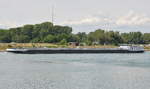 Judith Tankschiff,  auf dem Rhein bei Karlsruhe.