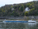 Das Güterschiff WILLEM D (ENI: 02327586) ist auf dem Rhein unterwegs. (Unkel, April 2021)