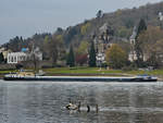 Das Motorgüterschiff  DINA  (ENI: 02325325) ist Mitte April 2021 auf dem Rhein unterwegs.