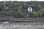 Das Motorgüterschiff  RAPIDO  (ENI: 02205701) ist Mitte April 2021 auf dem Rhein unterwegs.