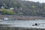 Der Schubverband AIYANNA (ENI: 02324796) ist hier Anfang April 2021 auf dem Rhein bei Unkel zu sehen.