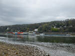 Die Gütermotorschiffe  WIELINGEN  (ENI: 06105126) und MONDEO (ENI: 02328092) auf dem Rhein unterwegs. (Unkel, April 2021)