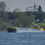 Das Tankmotorschiff PIZ LA MARGNA (ENI: 02338476)  war Mitte April 2021 auf dem Rhein bei Duisburg unterwegs.