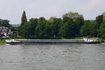 GMS Aby/Lou, ENI 05307200, Petershagen (DE). Auf dem Rhein bei Bonn-Mehlem. Aufnahmedatum: 09.06.2021.