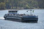 Das Tankmotorschiff SHANE V (ENI: 04805500) auf dem Rhein unterwegs. (Duisburg, April 2021)