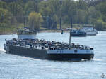Im Bild das Tankmotorschiff VICI (ENI: 02332462), welches Mitte April 2021 auf dem Rhein unterwegs war.