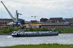 Der Pulvertanker RODORT-8 (ENI: 02315694) war Anfang Mai 2021 auf dem Rhein bei Duisburg zu sehen.