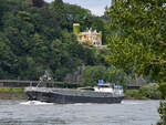 Anfang August 2021 war das Gütermotorschiff AHEAD (ENI: 02203774) auf dem Rhein bei Remagen zu sehen.