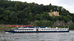 Das Fahrgastschiff SALVINIA (ENI: 02315334) war Anfang August 2021 auf dem Rhein bei Remagen unterwegs.