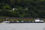 Anfang August 2021 war das Gütermotorschiff CAPIBARA (ENI: 02323443) auf dem Rhein bei Remagen zu sehen.
