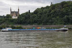 Anfang August 2021 war das Gütermotorschiff BELICHA (ENI: 06003885) auf dem Rhein bei Remagen zu sehen.