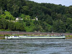   Im Bild der ECOTANKER III (ENI: 02335378), welches Anfang August 2021 auf dem Rhein bei Remagen unterwegs war.