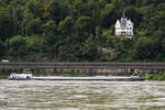 Anfang August 2021 war auf dem Rhein bei Remagen das Gütermotorschiff EVIDENT (ENI: 02318773) zu sehen.