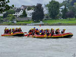 Anfang August 2021 war diese größere Gruppe mit zwei Schlauchbooten auf dem Rhein bei Remagen zu sehen.