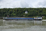 Das Gütermotorschiff PELGRIM (ENI: 06003104) auf dem Rhein, so gesehen Anfang August 2021 bei Remagen.