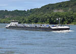 TMS RENOIR auf dem Rhein bei Bad Hönningen - 14.08.2021