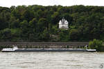 Das Gütermotorschiff TEMPTATION (ENI:06105081) ist hier Anfang August 2021 auf dem Rhein bei Remagen zu sehen.