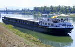 GMS  Elithe  hat in Breisach am Rhein festgemacht, das 1957 gebaute Frachtschiff ist in Nijmegen/Niederlande zuhause, 1255t, 86m Länge, Aug.2022