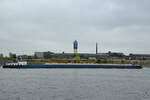 Das Gütermotorschiff VITA-NOVA (ENI: 02331793) fährt den Rhein hinauf. (Duisburg, August 2022)