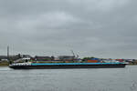 Das mit wenigen Containern beladene Gütermotorschiff IVERNA (ENI: 02331998) auf dem Rhein, so gesehen Ende August 2022 in Duisburg.