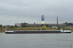 Das Gütermotorschiff AMAZONE (ENI: 02322692) auf dem Rhein, so gesehen Ende August 2022 in Duisburg.