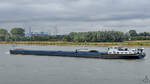 Das Gütermotorschiff THALIA (ENI: 02328065) ist auf dem Rhein unterwegs, so zu sehen Ende August 2022 in Duisburg.