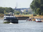 Rückwärts einparken für Fortgeschrittene - das Gütermotorschiff SARINA (ENI: 02331460) auf dem Weg zum Duisburg Trimodal Terminal.