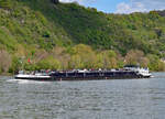 TMS EXALIBUR II auf dem Rhein kurz vor Remagen - 30.04.2023